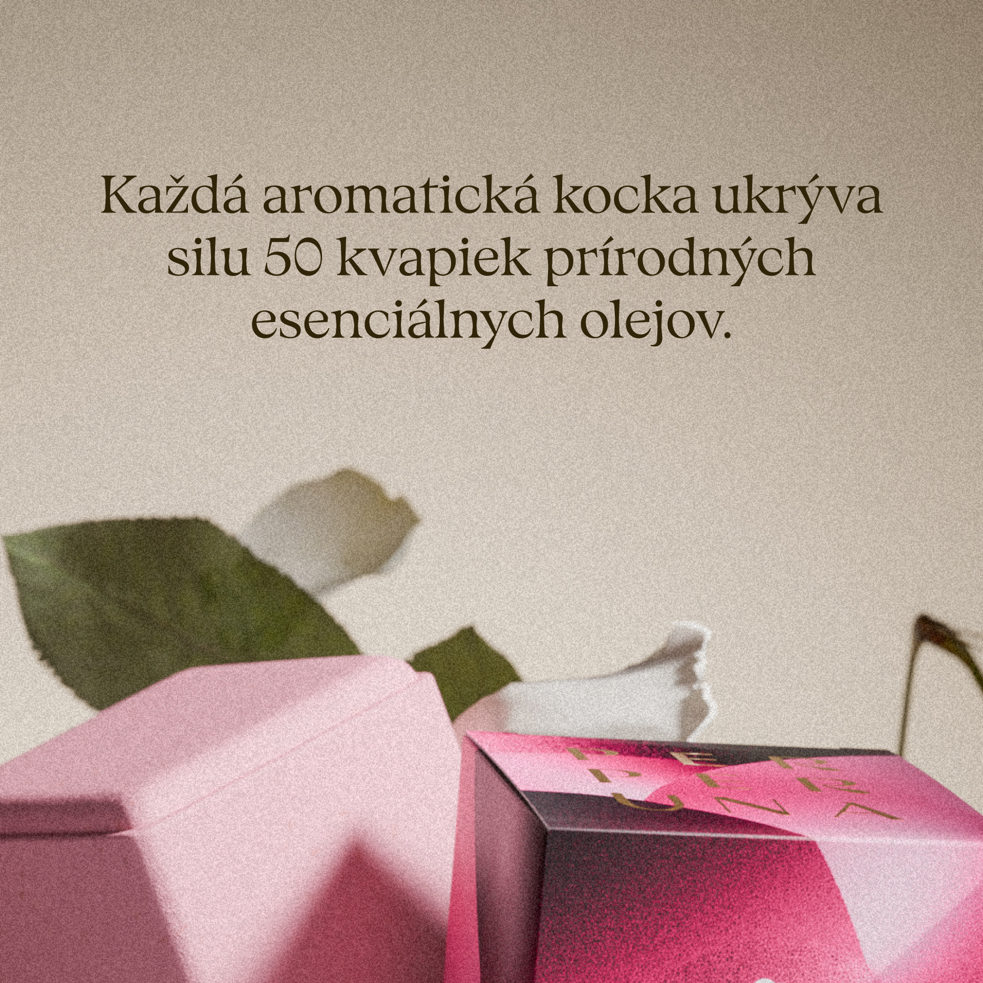 Kompletna kolekcija - The Ritual, Good Night i Love
