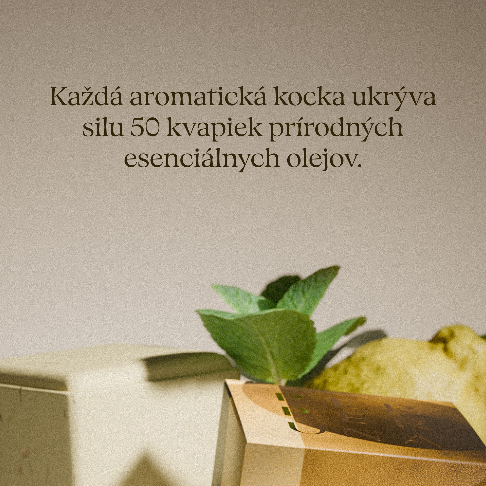 [Nesavršena] Uplift - Aromatična kocka za tuširanje