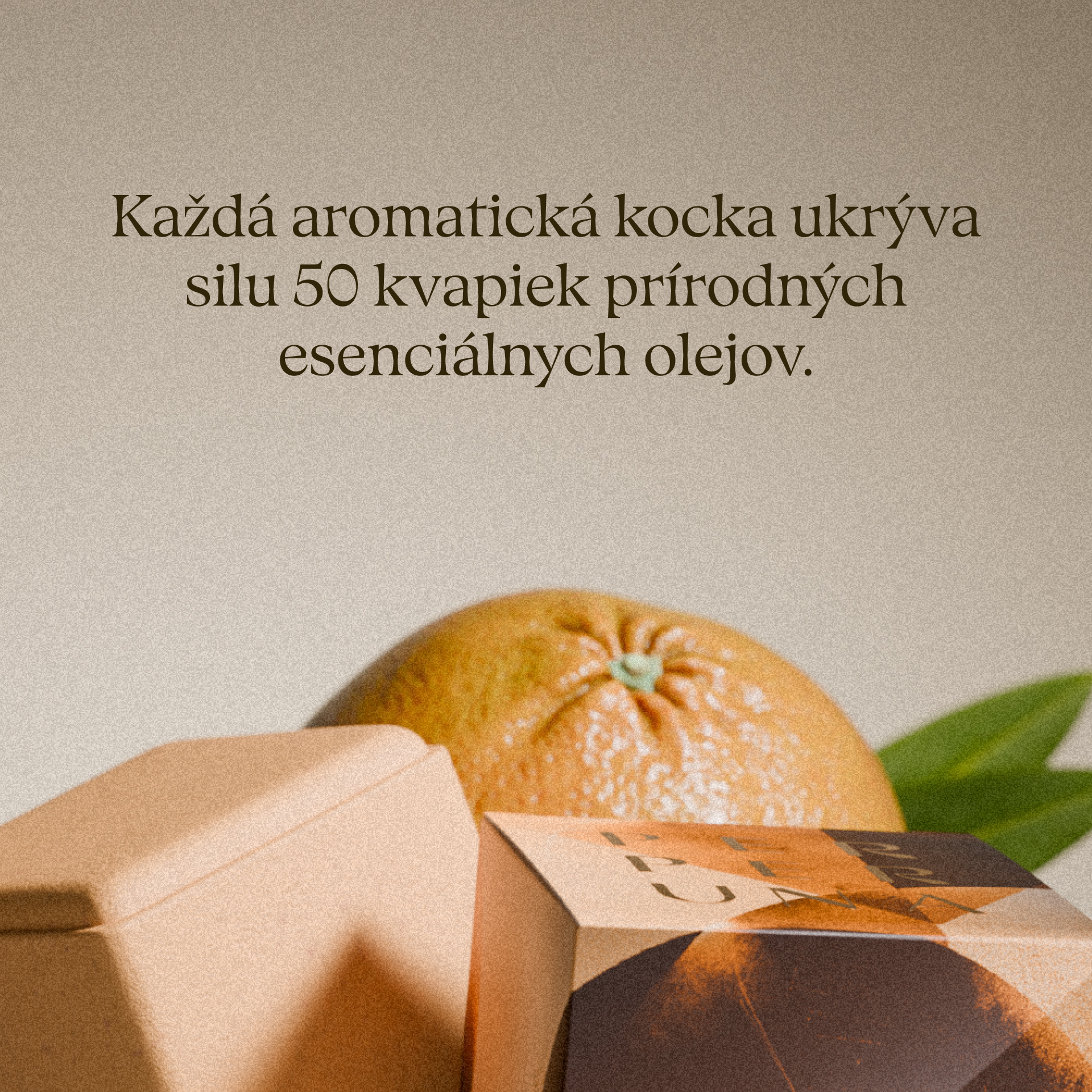 [Nesavršena] Balance - Aromatična kocka za tuširanje